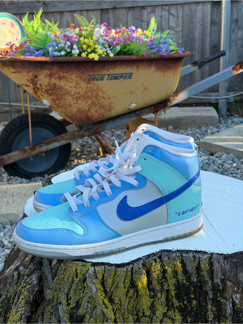 Nike dunk ‘I got next’